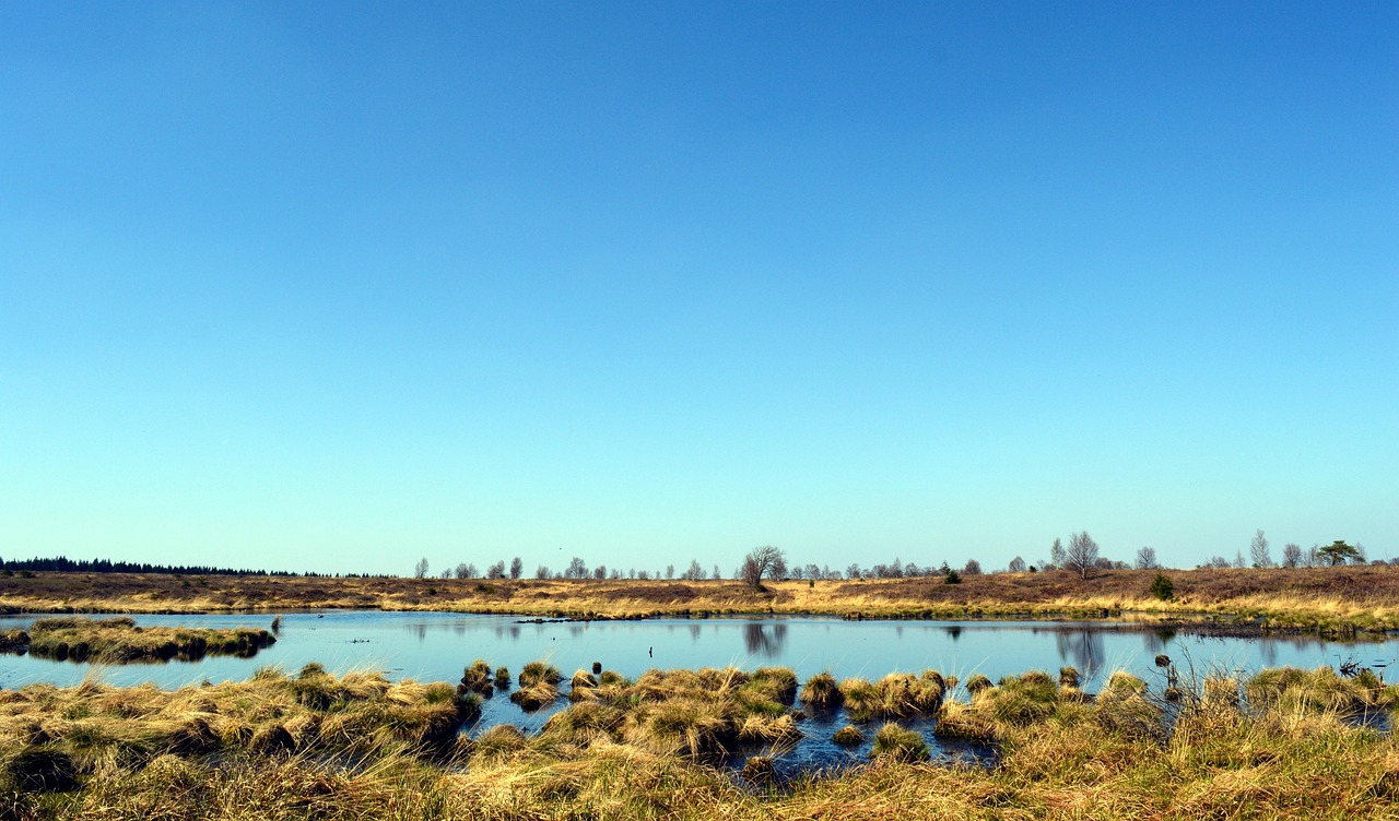 Reading the Bog: How to Cross Wet Moorland Safely and Leave No Trace