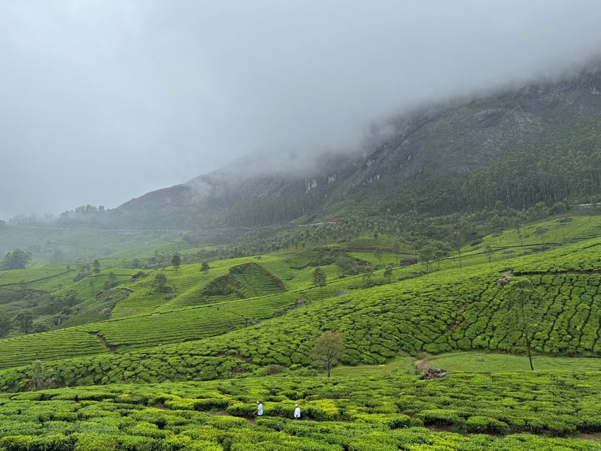 Walking the Mist: A Beginner's Guide to Moorland Hiking
