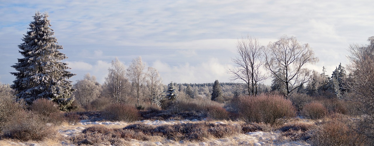 Walking the Moor in Winter: Shorter Days, Sharper Rewards